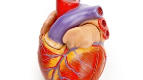 „Weniger Kilos helfen“