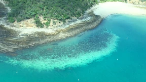 500 Meter hohes Korallenriff im Great Barrier Reef entdeckt