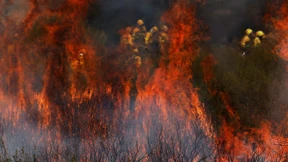 Wenn es wärmer wird, könnte es bald überall brennen