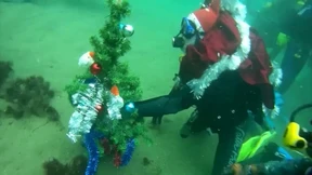 Weihnachtsbaum mit Tiefgang