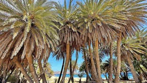 Das Paradies hatte einen Namen