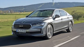 Limousinen leben länger