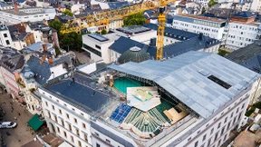 Hausschwamm bis ins Erdgeschoss