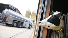 DMK und Arla schmieden Europas größte Molkereigenossenschaft