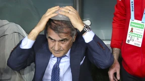 Trainer verletzt, Werfer festgenommen