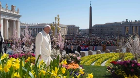 Die grünen Wirtschaftsideen des Papstes