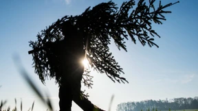 Umweltfreundlich feiern