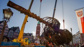 „Bäumsche“-Gate am Frankfurter Römerberg