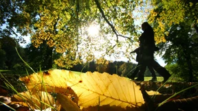 Spazierengehen gegen die Einsamkeit