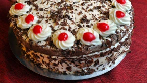 Bienenshtish gegen den Weltshmerts