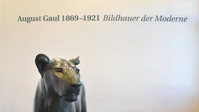 Aus Liebe zu Löwen und Bären