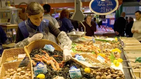 Kalbsköpfe schauen dich an