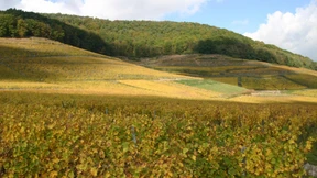 Klasse, ­Renommee – und ­überzogene Preise