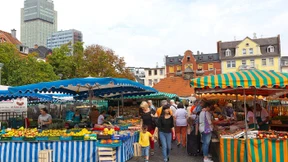 Mozzarella-Käs mit Musik