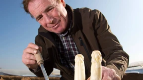 „Der Spargel ist garantiert nur von uns“