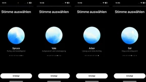 Vier KI-Stimmen in der ChatGPT-App gelten als „hochriskant“