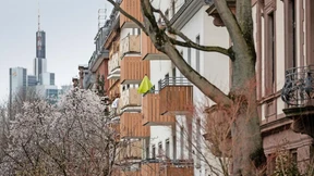 Wie wählt das Grünen-Milieu?