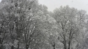 Schuld, Schweigen, Schwermut