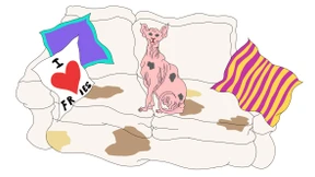 Wohnung ausmisten – jetzt oder nie!