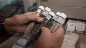 Eine Sammlung aus Sand gebaut