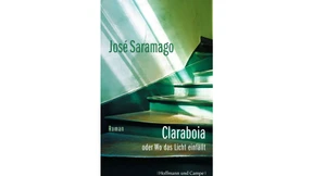 Dachluke zur Diktatur