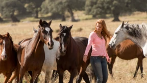 Über die beeindruckende Bindung zwischen Mensch und Pferd
