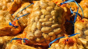 Dieb klaut 250 Kilo Kartoffeln von Feld