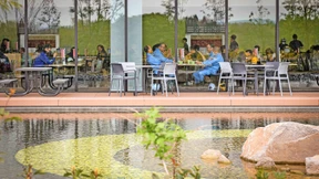 Im Schatten der Chipfabrik