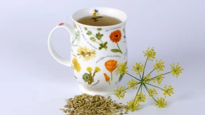 Macht Fencheltee wirklich krank?