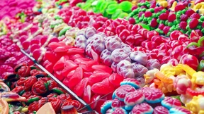 Wie ein verirrtes Nagetier