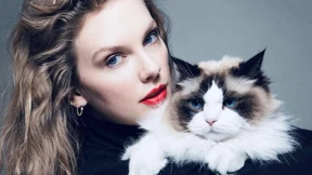 Die kriegsentscheidende Stimmabgabe