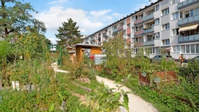 Wer sind denn nun die echten Bürger?