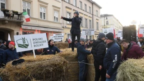 Polnische Bauern besetzen Ministerium
