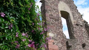 Verschiebung auf das Jahr 2022