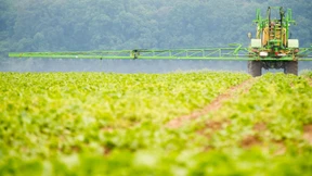 EU-Staaten sollen über weitere Zulassung von Glyphosat entscheiden