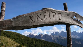 Der Guru mit der Gießkanne