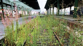 Der Feldarbeiter der Kunst