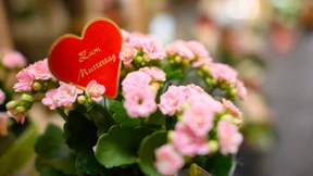 Nicht nur für Mütter