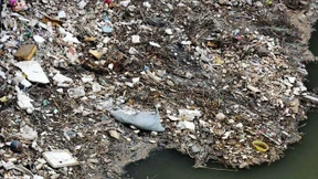 Lemke will gemeinsam mit China das Plastikproblem lösen