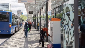 Als Tiger gesprungen, als Bettvorleger gelandet