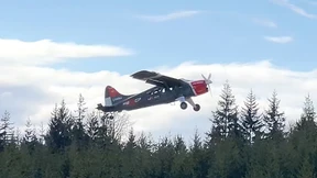 Da hebt der Biber ab