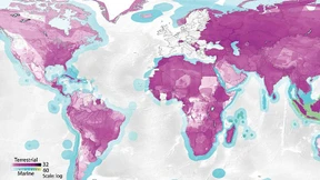 Die Rote Karte des Welthandels
