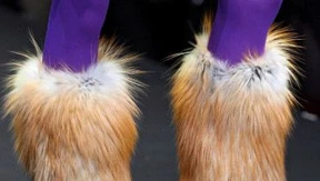 Die Nacht der  großen Tüten