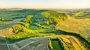 Der Gärtner ist immer der Mozart