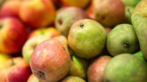 Wie man das Pferdchen mit dem Einhorn verrechnet