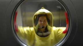 Der Fünferpack der Vogelgrippe-Designer