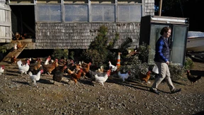 Landwirte in der Klemme