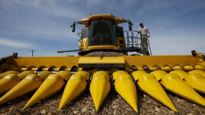 Rekordernten drücken die Preise