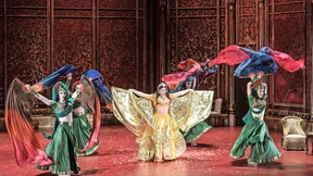 Mit Elefanten auf drei Rädern