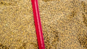 Anleger warten auf die Fed und die EZB